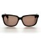 Другие сонцезащитные очки 9849 коричневые с коричневой линзой . Photo 2