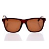 Чоловічі сонцезахисні окуляри 10483 коричневі з коричневою лінзою 