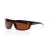 Мужские сонцезащитные очки 10879 коричневые с коричневой линзой 