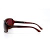 Мужские сонцезащитные очки 10881 коричневые с коричневой линзой 